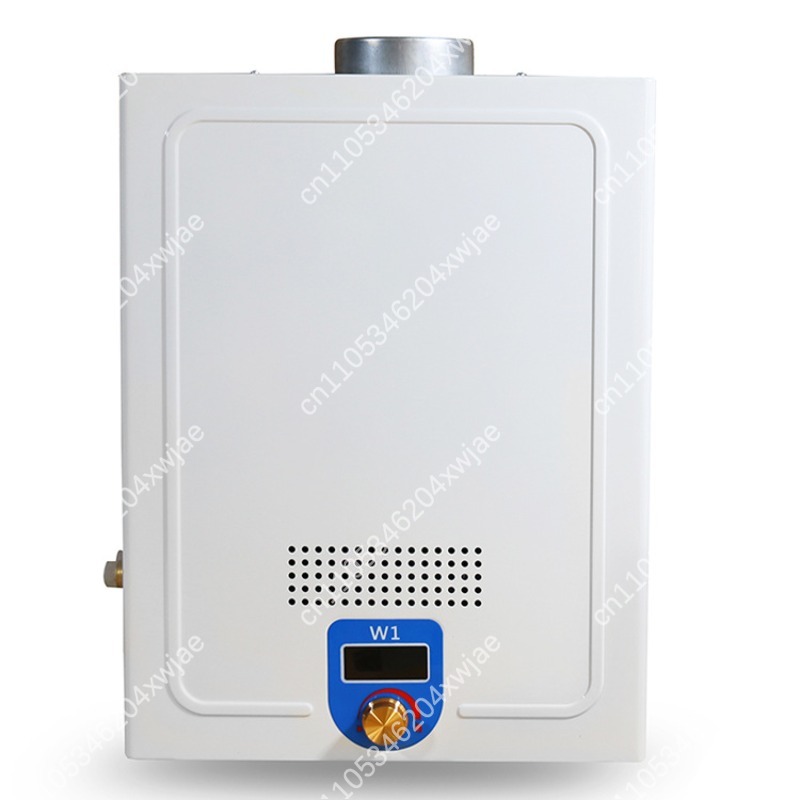 Instant Hot Shower Heater Dies - Outdoor Camping Hot Water Heater recensie en prijs