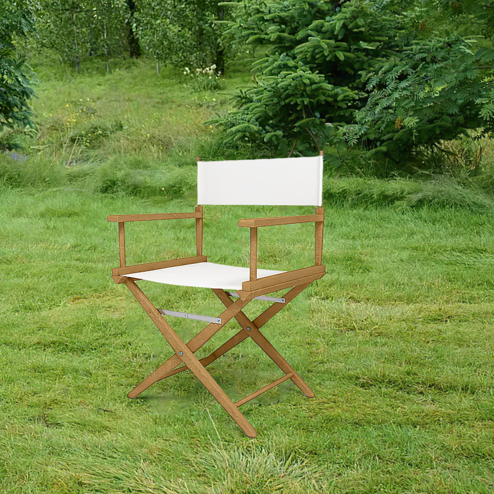 Folding Chair Seat Replacement - Outdoor Camping Movies recensie en prijs