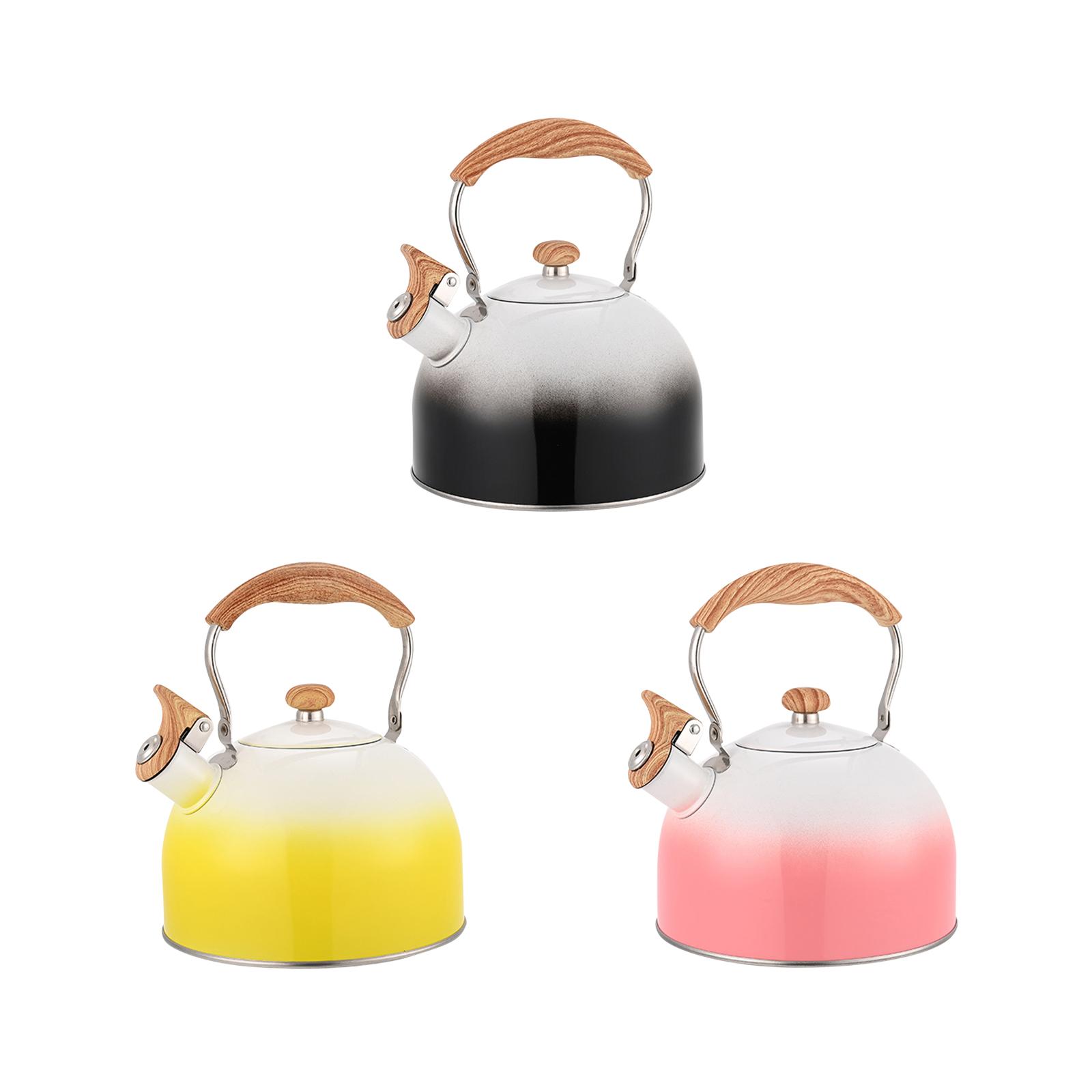 Whistling Stovetop Tea Kettle, - Outdoor Camping Kettle recensie en prijs
