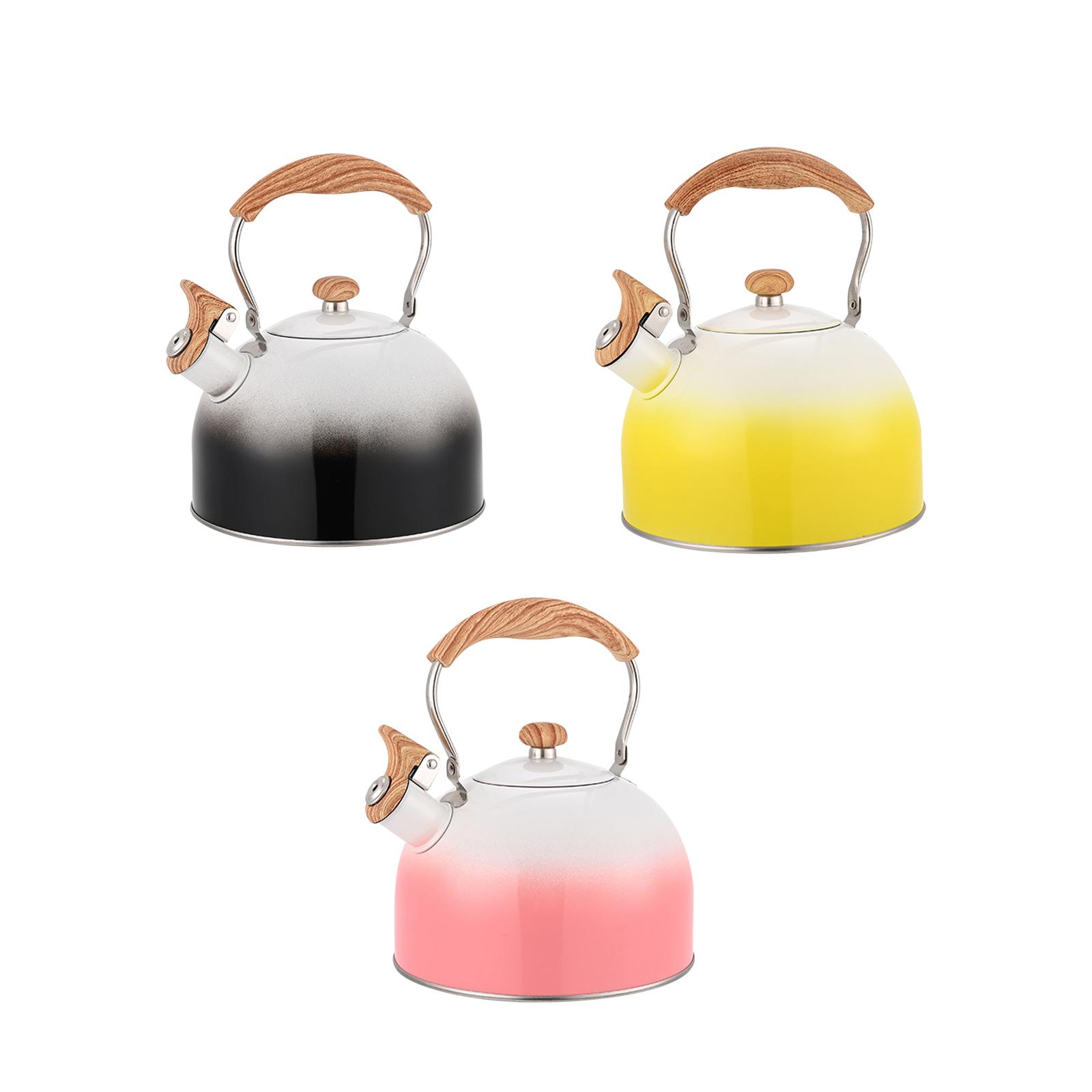 Whistling Stovetop Tea Kettle, - Outdoor Camping Kettle recensie en prijs
