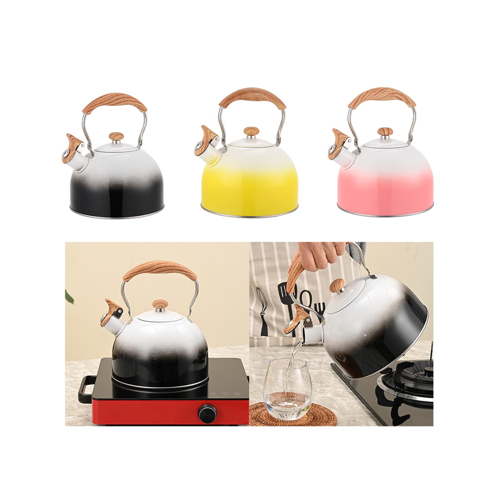 Whistling Stovetop Tea Kettle, - Outdoor Camping Kettle recensie en prijs
